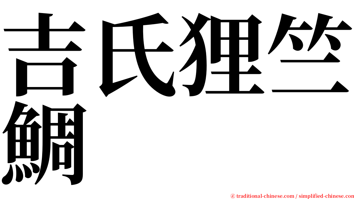 吉氏狸竺鯛 serif font