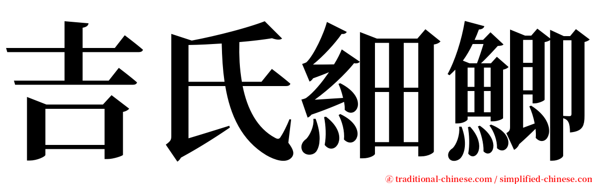吉氏細鯽 serif font