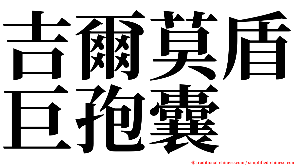 吉爾莫盾巨孢囊 serif font