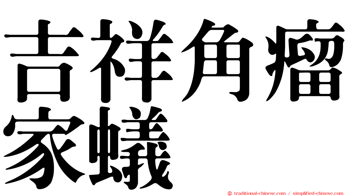 吉祥角瘤家蟻