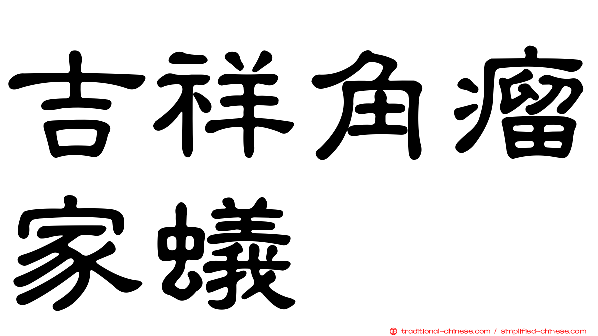 吉祥角瘤家蟻