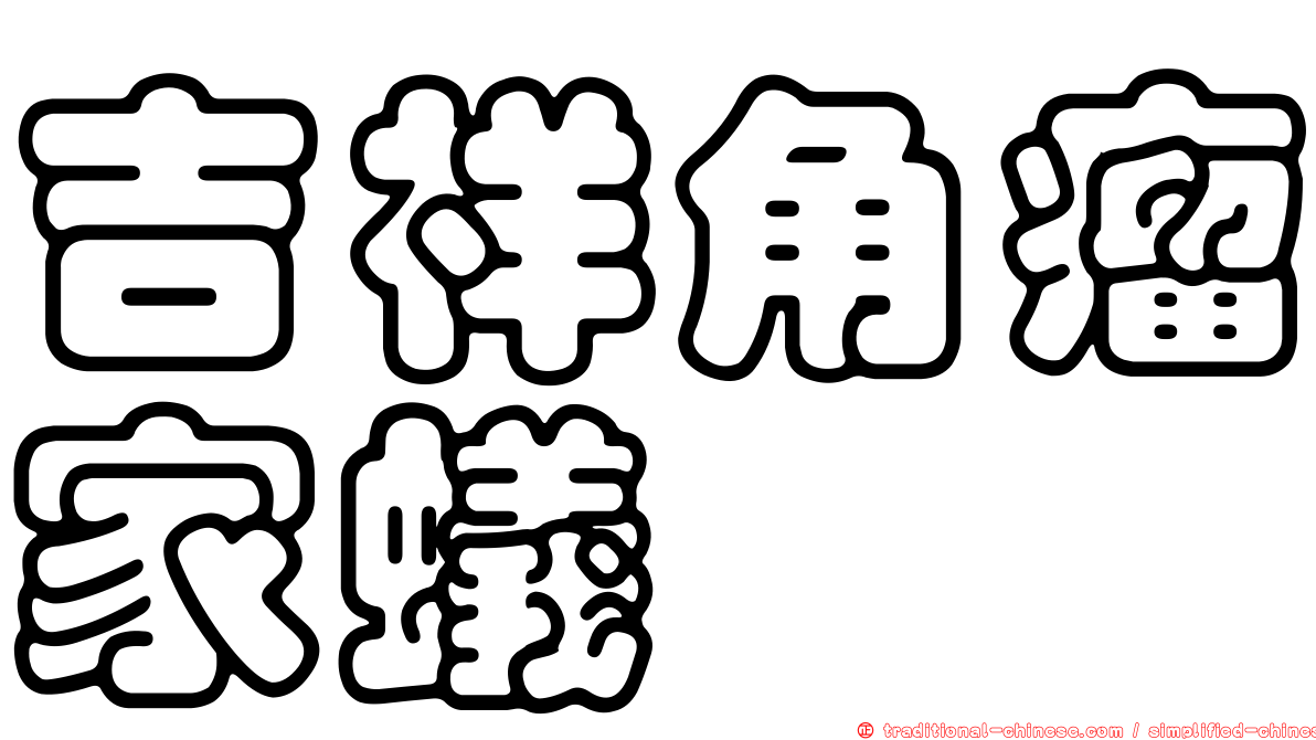 吉祥角瘤家蟻