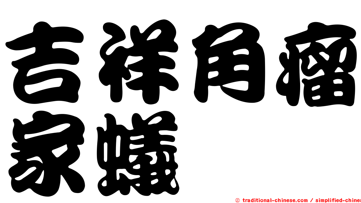 吉祥角瘤家蟻
