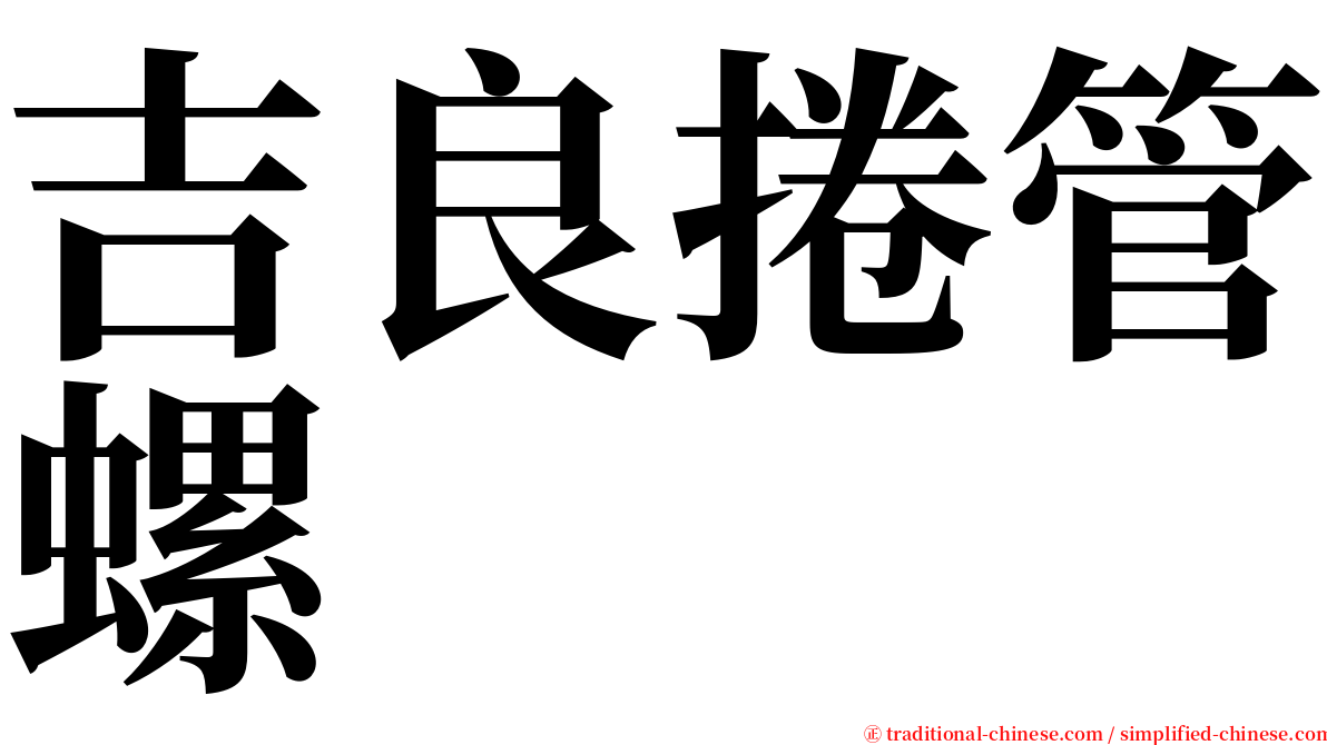 吉良捲管螺 serif font