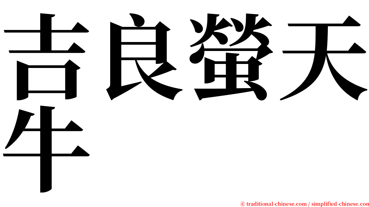 吉良螢天牛 serif font