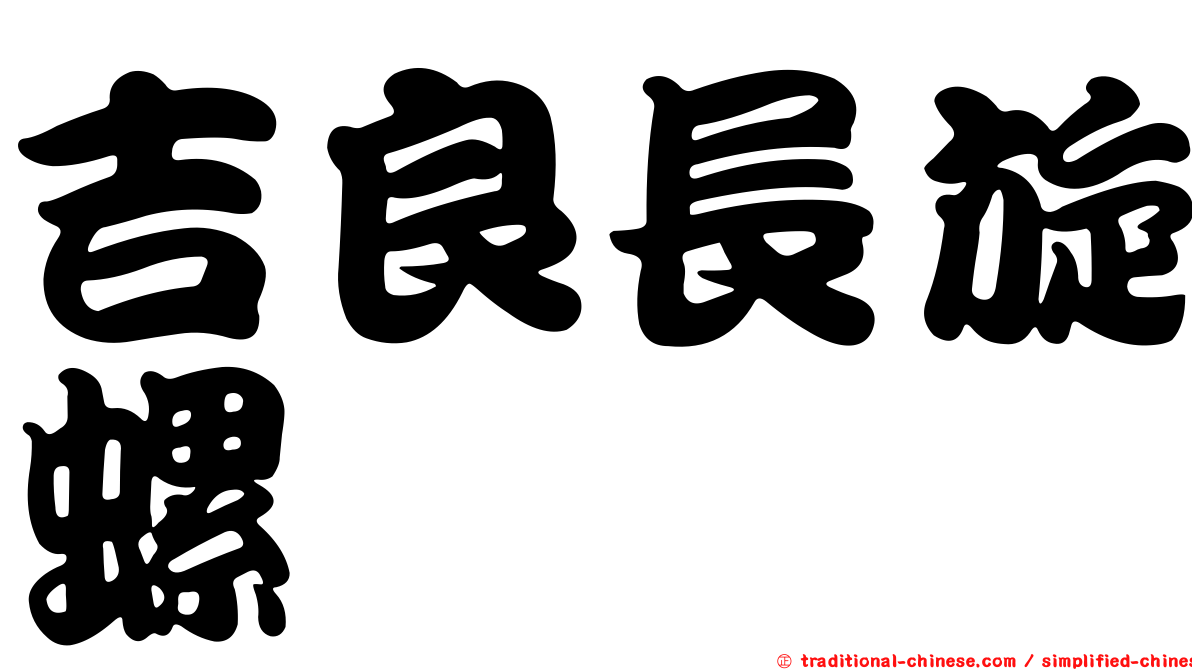 吉良長旋螺