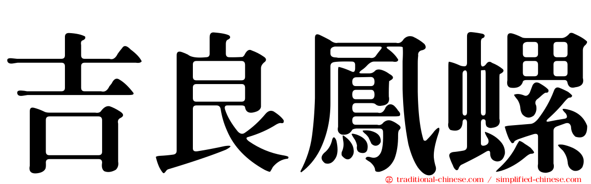 吉良鳳螺