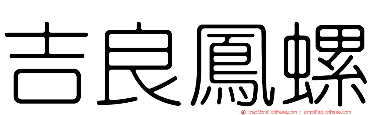 吉良鳳螺