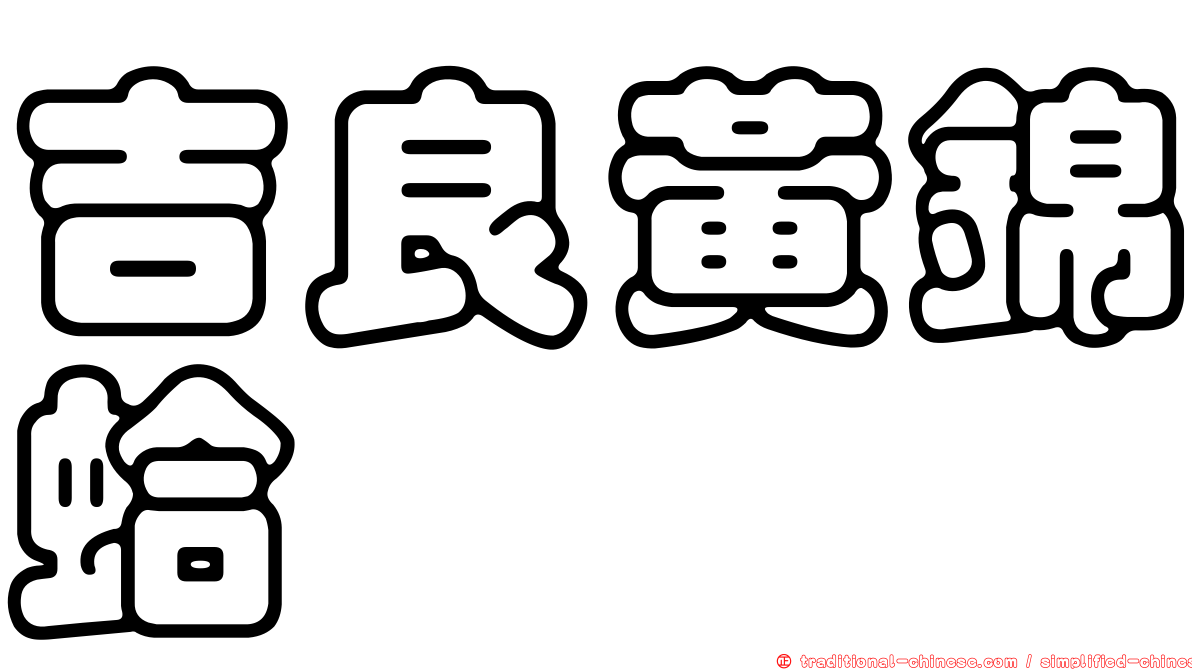 吉良黃錦蛤