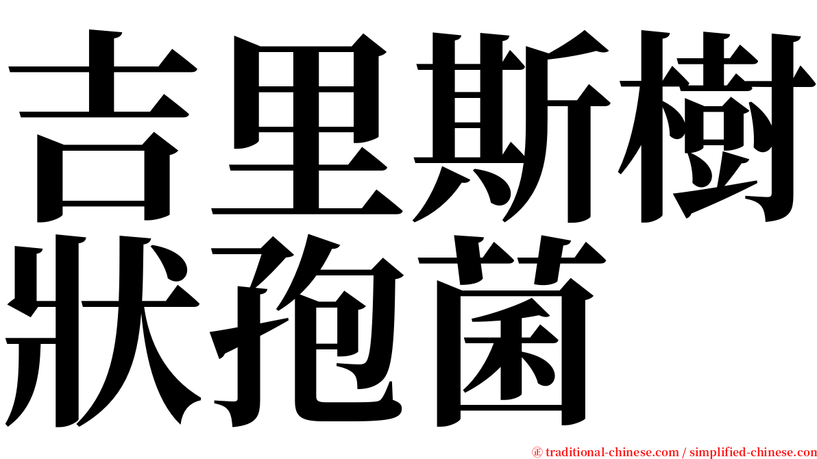 吉里斯樹狀孢菌 serif font