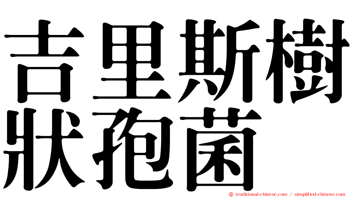 吉里斯樹狀孢菌