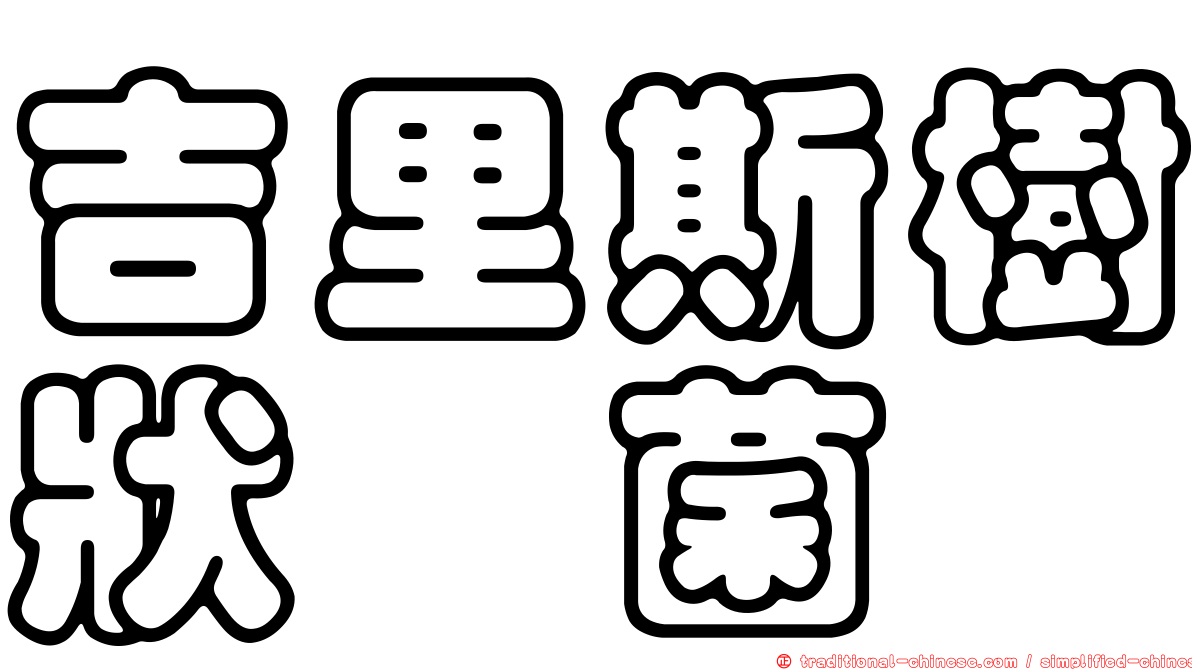 吉里斯樹狀孢菌