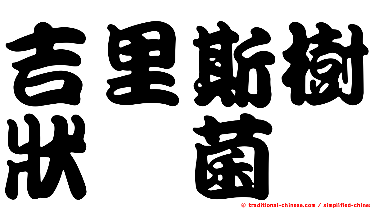 吉里斯樹狀孢菌