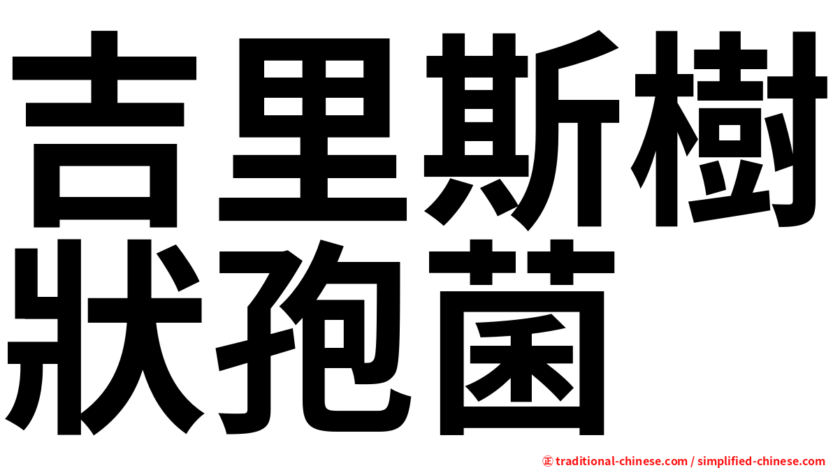 吉里斯樹狀孢菌