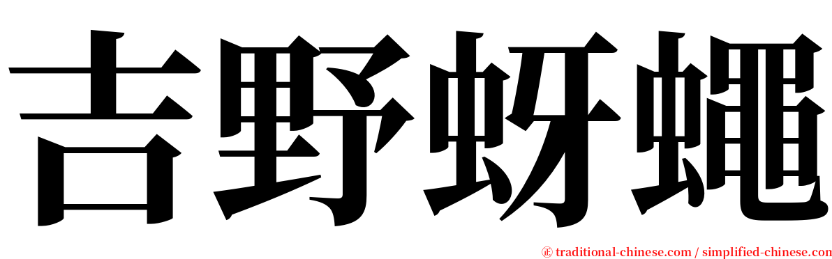 吉野蚜蠅 serif font