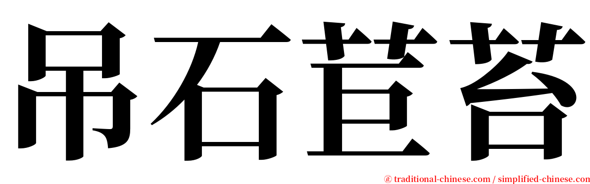 吊石苣苔 serif font