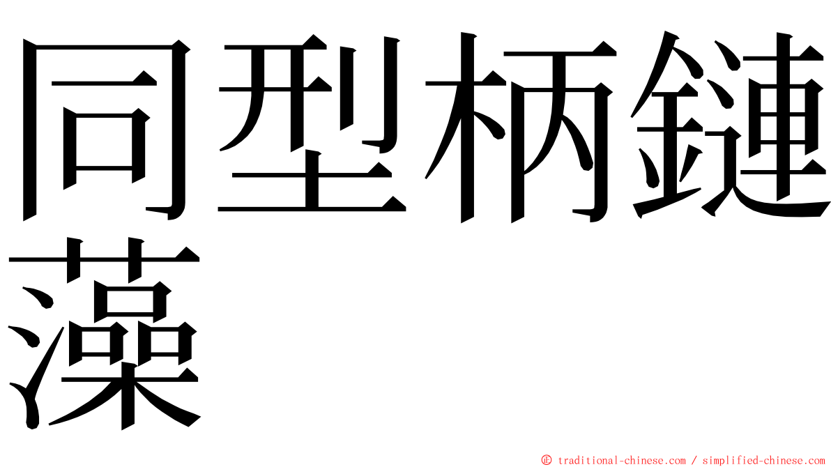 同型柄鏈藻 ming font