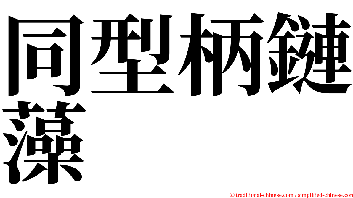 同型柄鏈藻 serif font