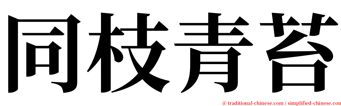 同枝青苔 serif font