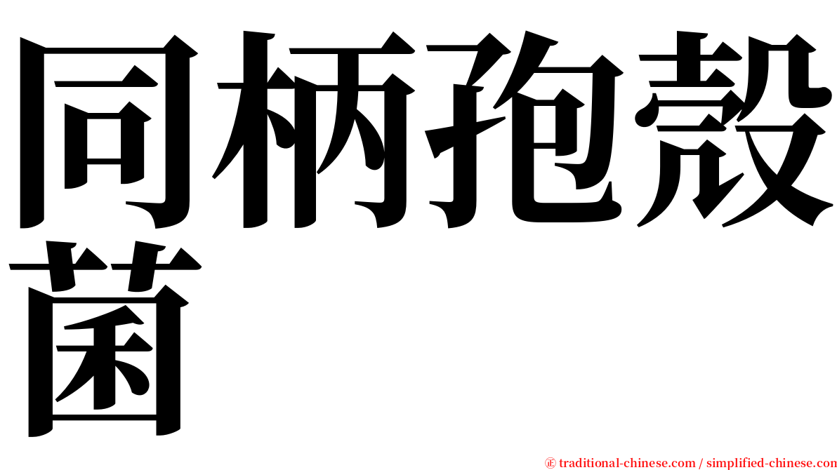 同柄孢殼菌 serif font