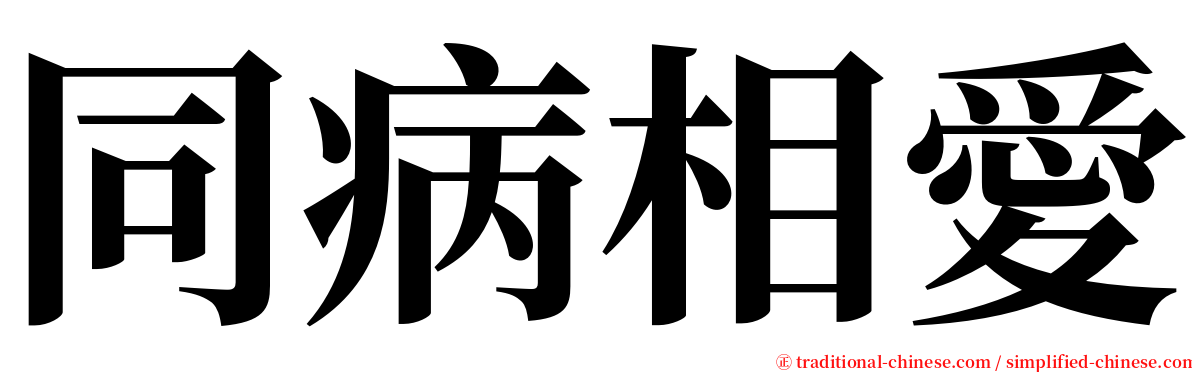 同病相愛 serif font