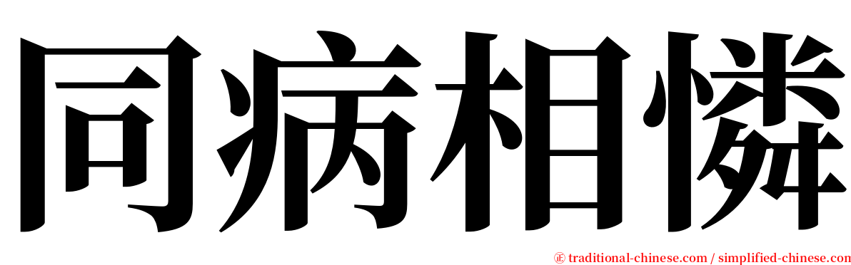 同病相憐 serif font