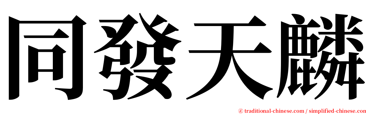 同發天麟 serif font