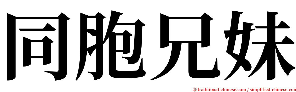 同胞兄妹 serif font