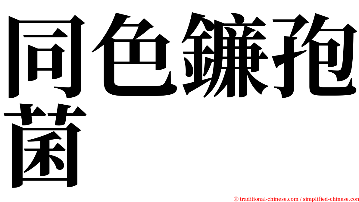 同色鐮孢菌 serif font