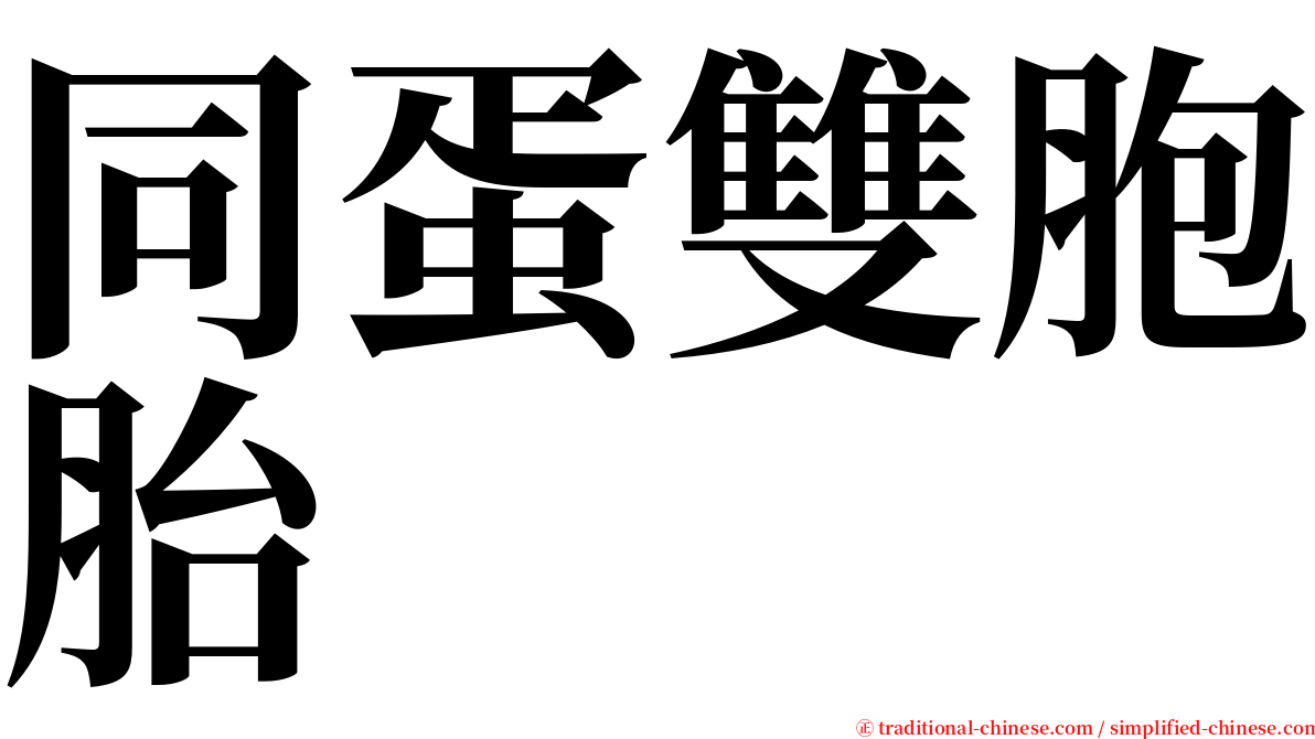 同蛋雙胞胎 serif font