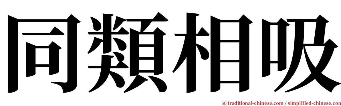 同類相吸 serif font