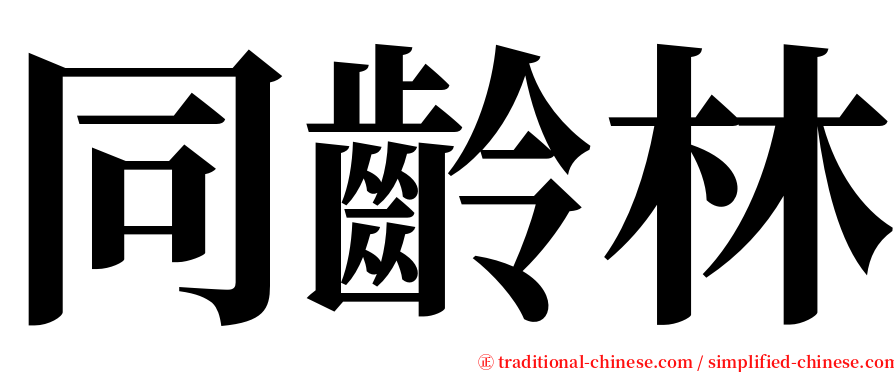 同齡林 serif font