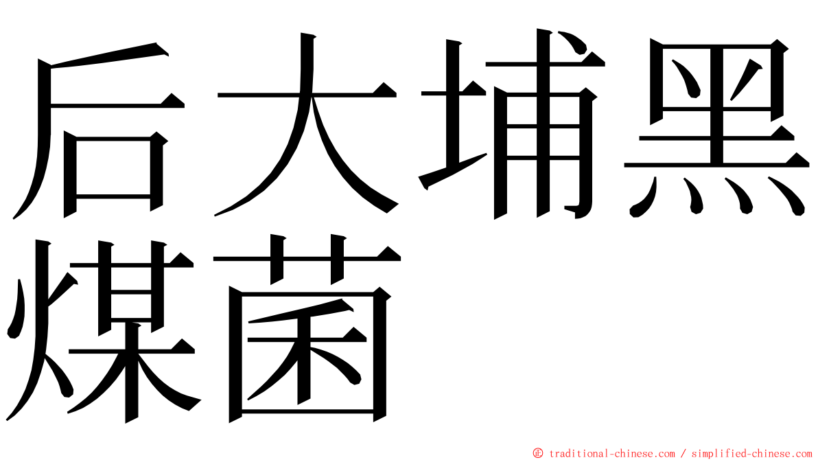 后大埔黑煤菌 ming font