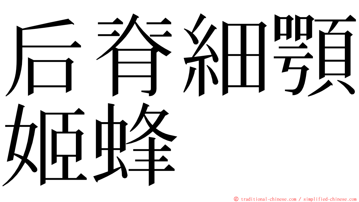 后脊細顎姬蜂 ming font