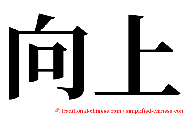 向上 serif font