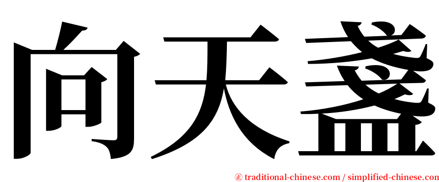 向天盞 serif font