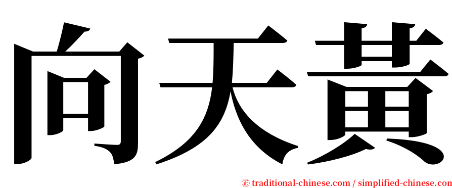 向天黃 serif font