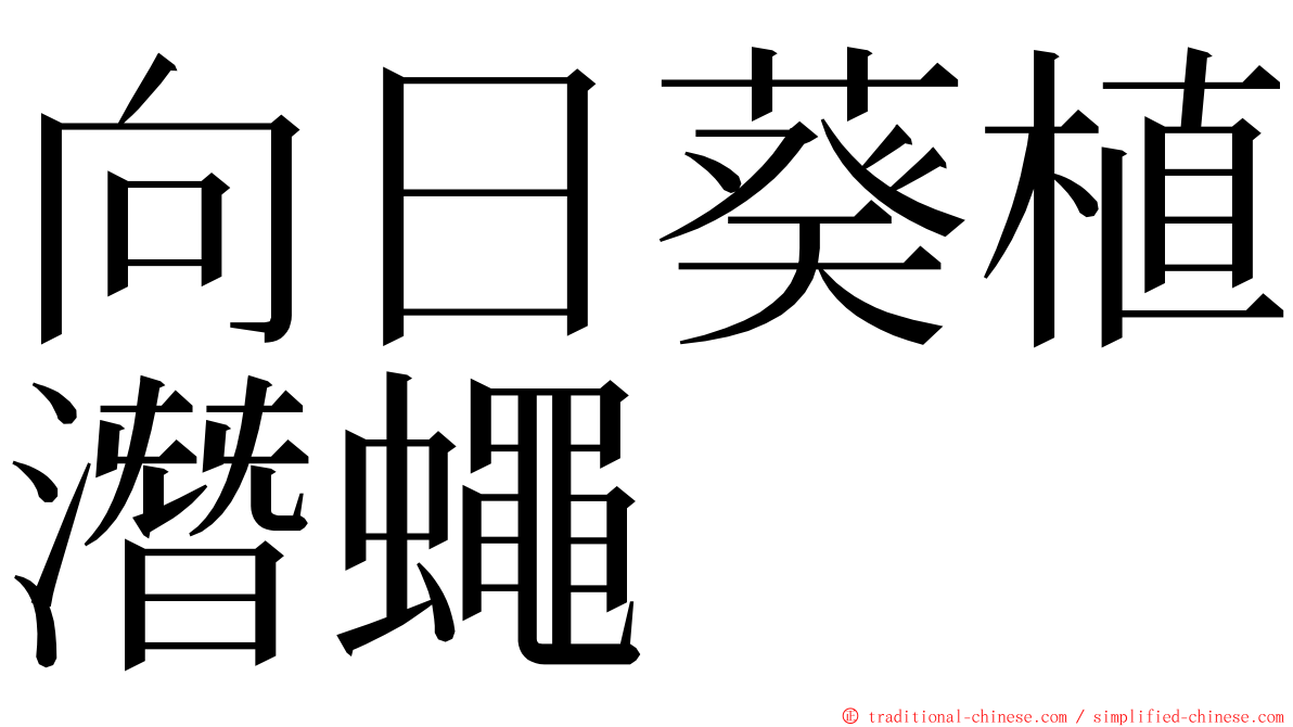 向日葵植潛蠅 ming font