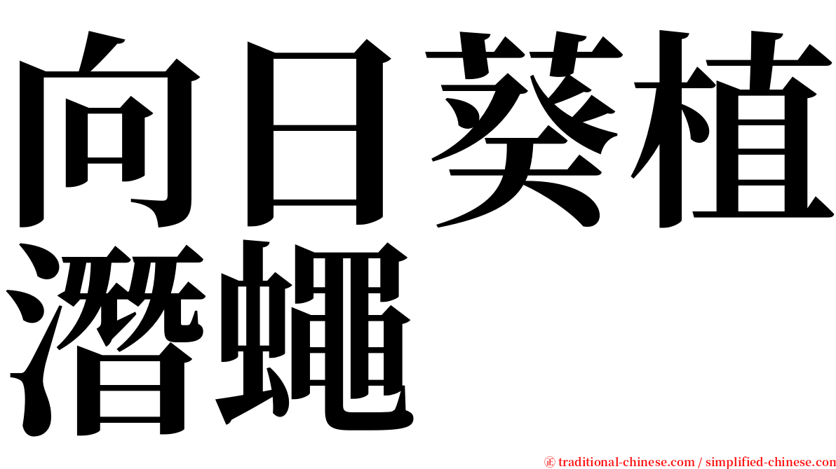 向日葵植潛蠅 serif font