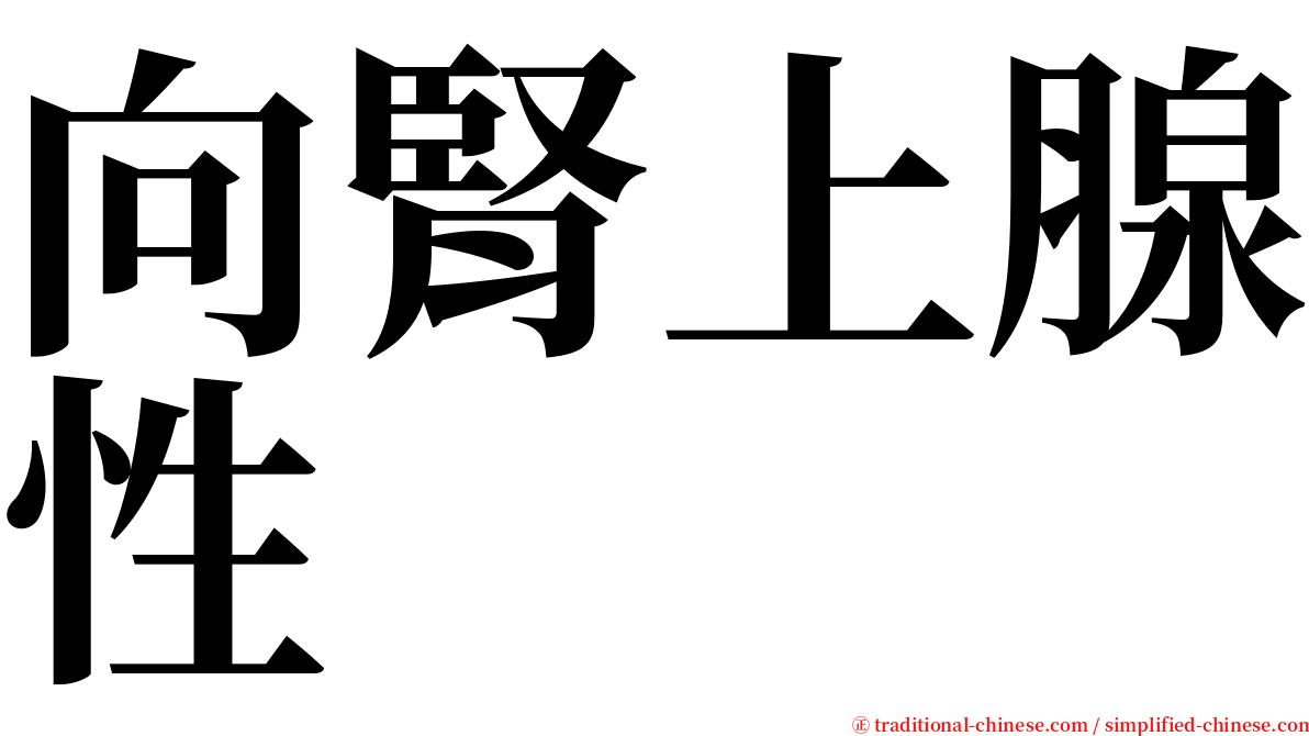 向腎上腺性 serif font