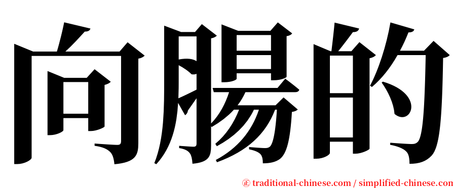 向腸的 serif font