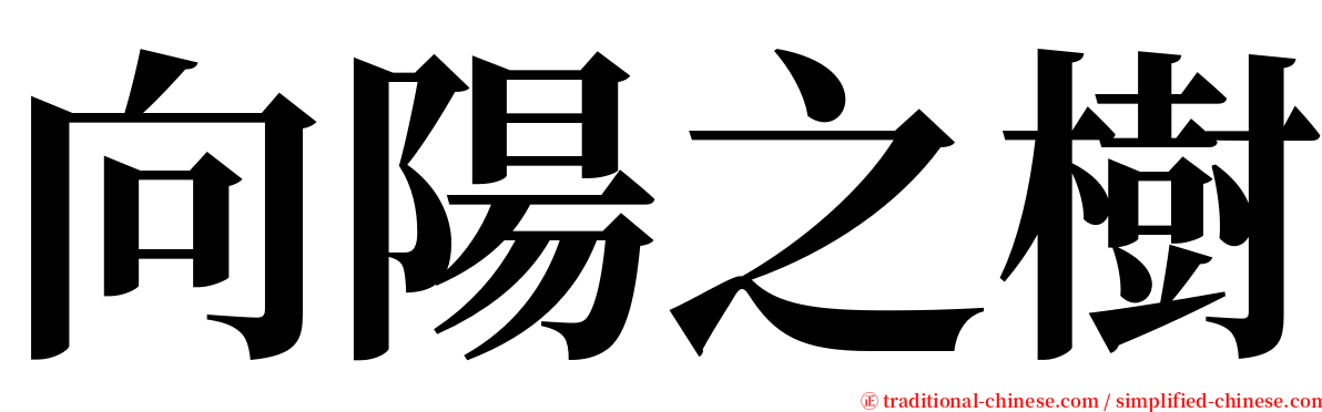 向陽之樹 serif font