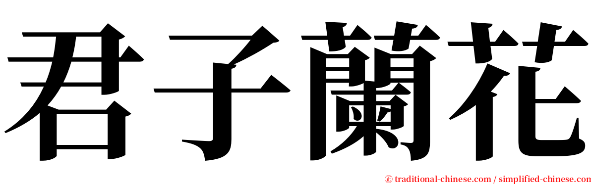 君子蘭花 serif font