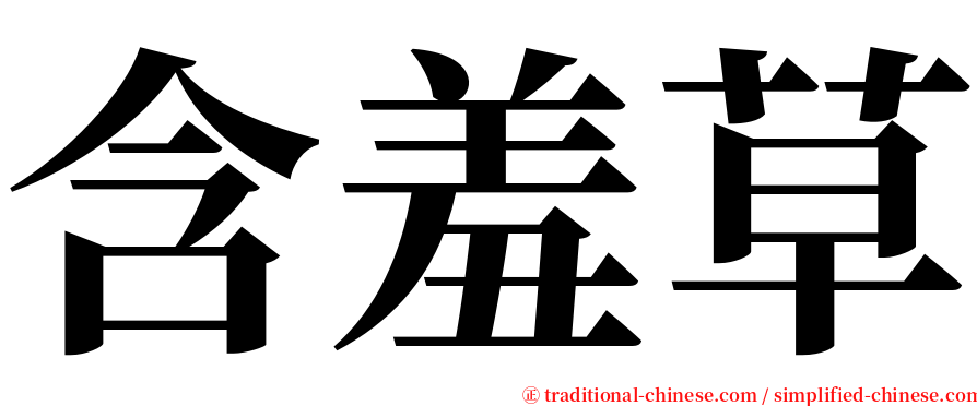 含羞草 serif font