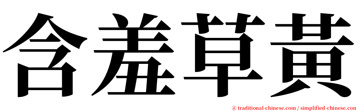 含羞草黃 serif font