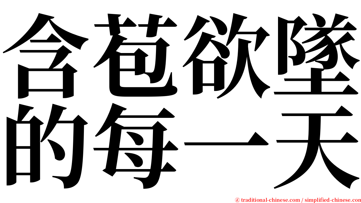 含苞欲墜的每一天 serif font