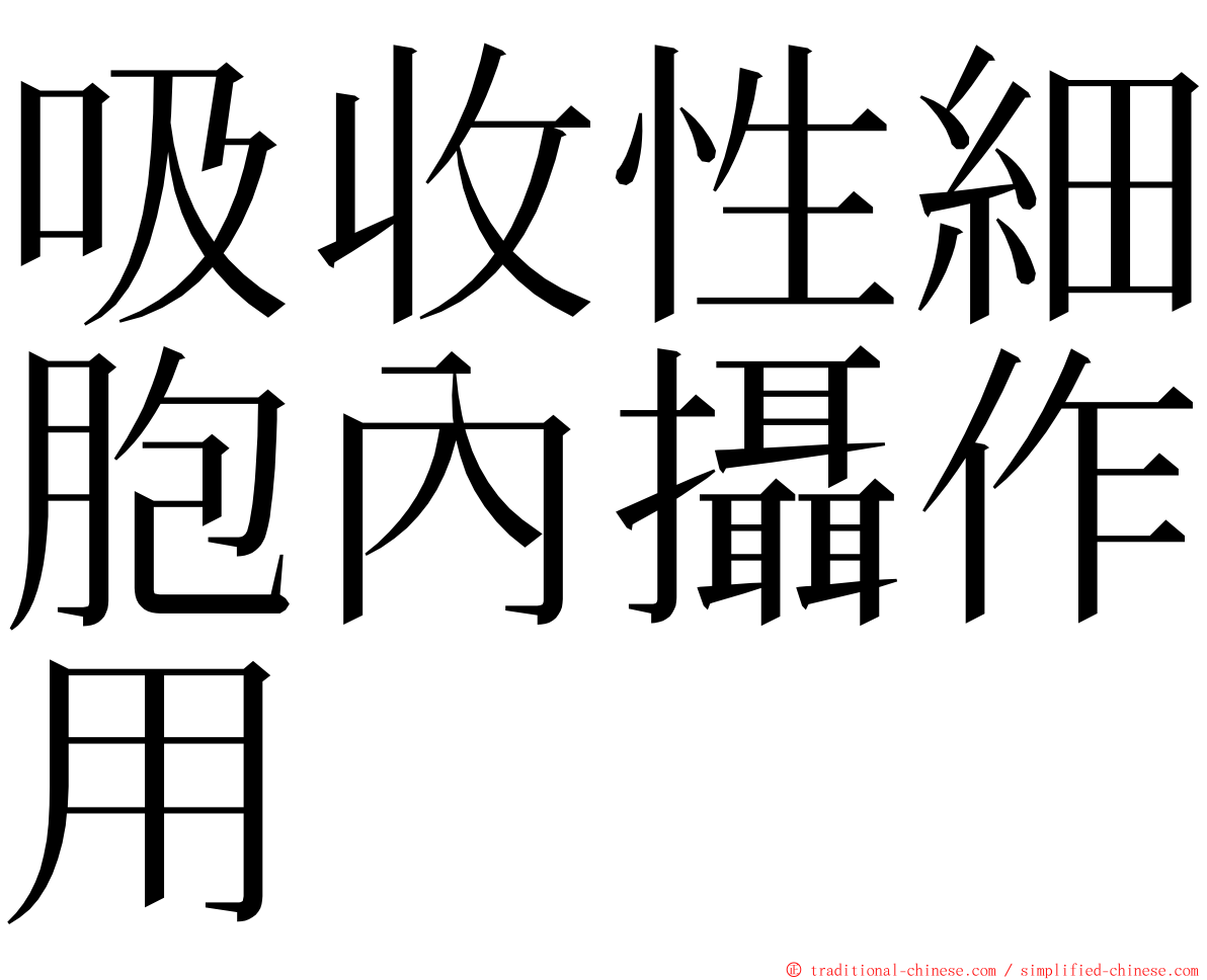 吸收性細胞內攝作用 ming font