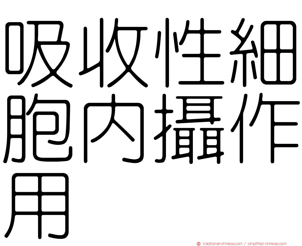 吸收性細胞內攝作用