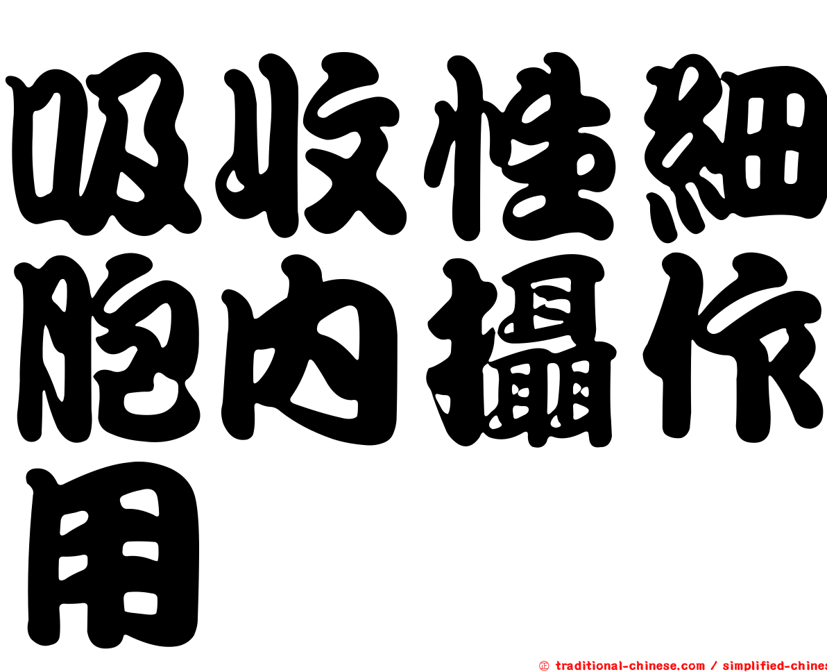 吸收性細胞內攝作用