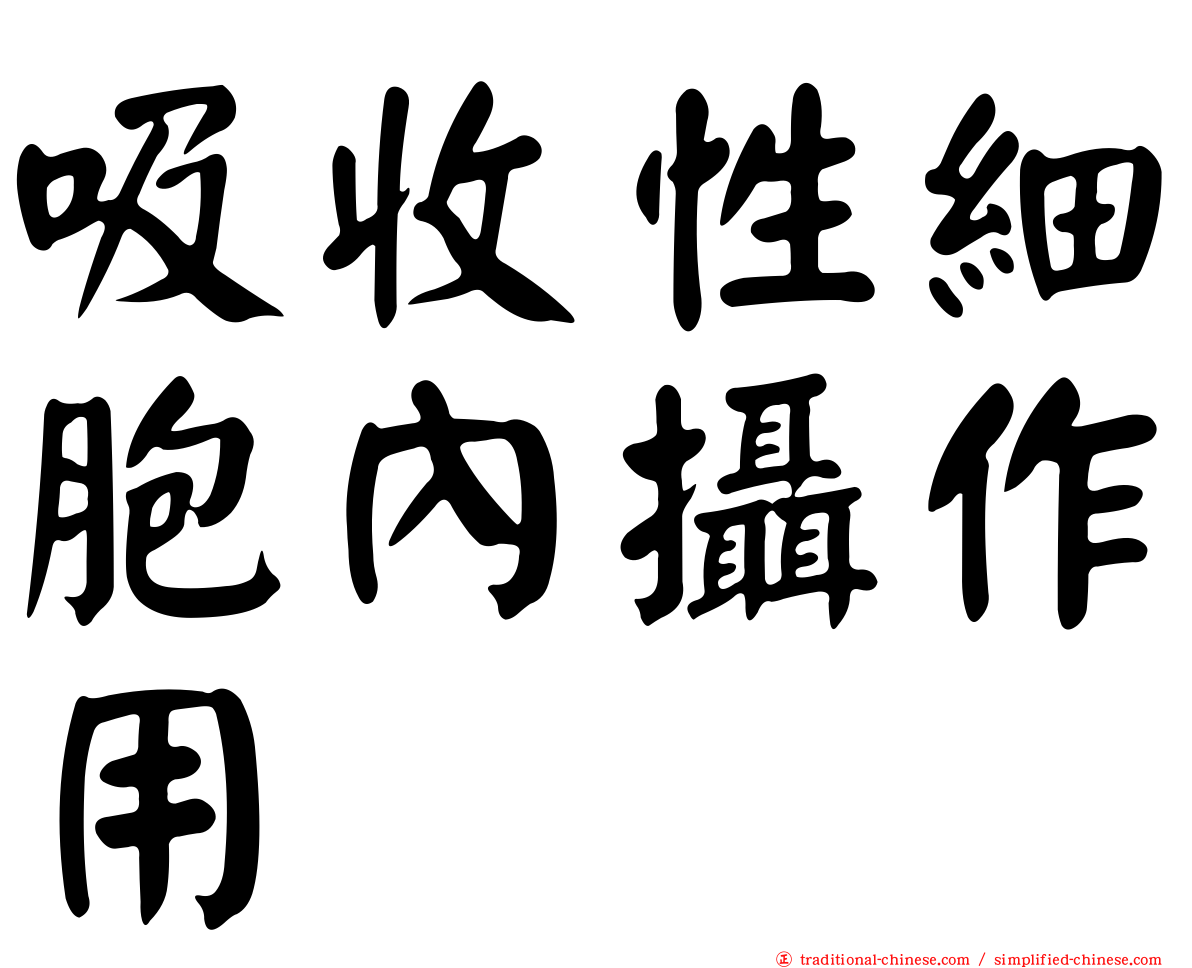 吸收性細胞內攝作用